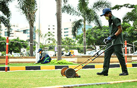 Landscaping & Horticulture